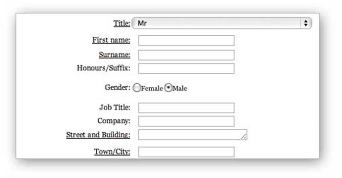 Пример формы с подчеркнутыми заголовками.